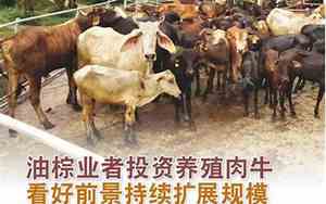 投资养殖的公司起名字