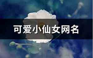 小仙女网名