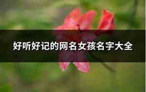 好听好记的网名