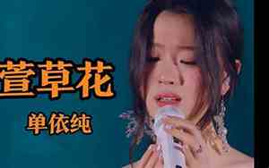 《萱草花》好听