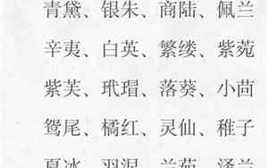 好听的动画片中文版名字