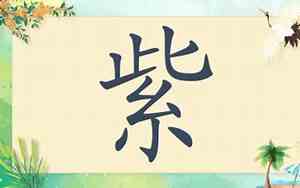 宝宝带紫女孩名字