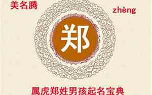 男孩名字郑虎宝宝