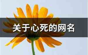 心死的网名