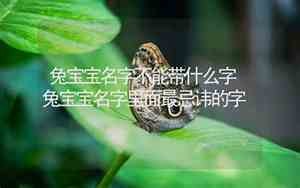 兔宝宝名字带枳