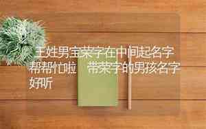 好听的王姓男宝小名