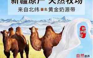为新疆奶业起个好名字