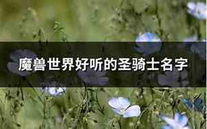 找个好听的骑士名字