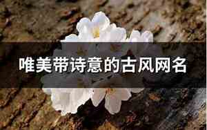 7个字古风诗意的网名