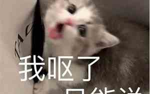 呕怎么说好听