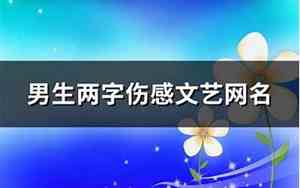 两字伤感网名