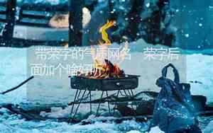 傲雪后面加网名好听不