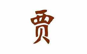 贾姓狗宝宝名字