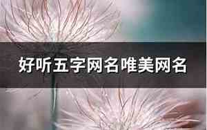 婷的网名唯美网名