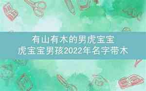 有山木宝宝的名字