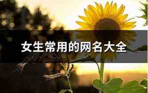 女生常用网名