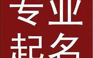 公司起名字希雅同音字吗