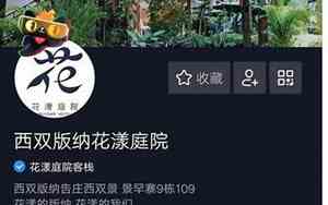 抖音简介公司名字