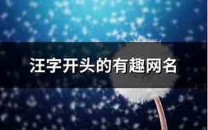 汪字网名