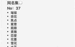搞笑两字网名