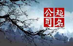 传播公司名字有创意好听