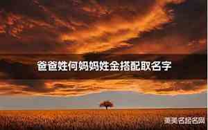何小宝宝名字