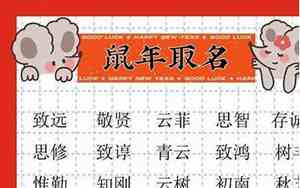 张麒麟宝宝名字寓意