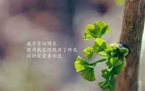 正能量的网名