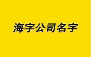 公司名字带海字的
