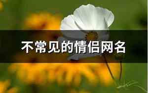 不常见的网名