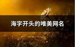 海字网名