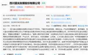 南宁黑总公司名字