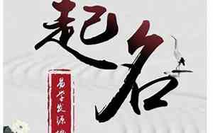 曾姓的鼠宝宝名字