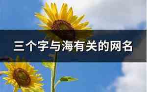 有关海的网名