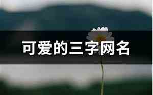 qq2017网名3个字的女生