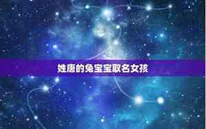 唐陈兔宝宝名字