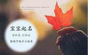 有土的好名字