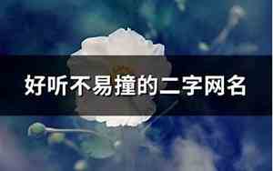 好听的名字不易撞