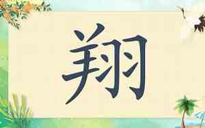 带翔男宝宝名字