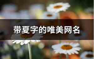 夏的网名好听名字