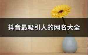 吸引人网名