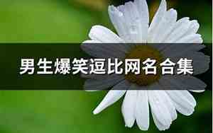 逗比网名男
