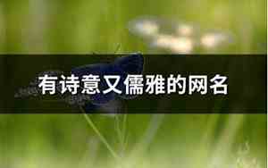 儒雅的网名