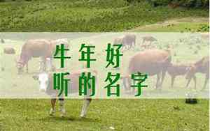 带政字的男牛宝宝名字
