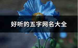好听的五字网名