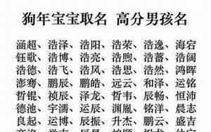 狗年宝宝名字带肉食