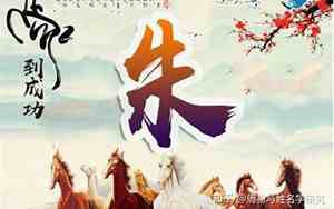 朱刘取宝宝名字