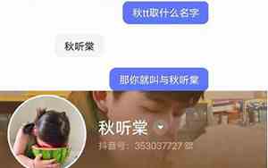 好听简单的tt名字