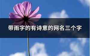 带雨字的有诗意的网名
