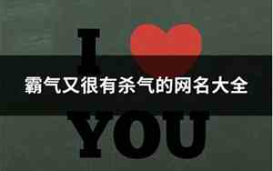 杀气网名
